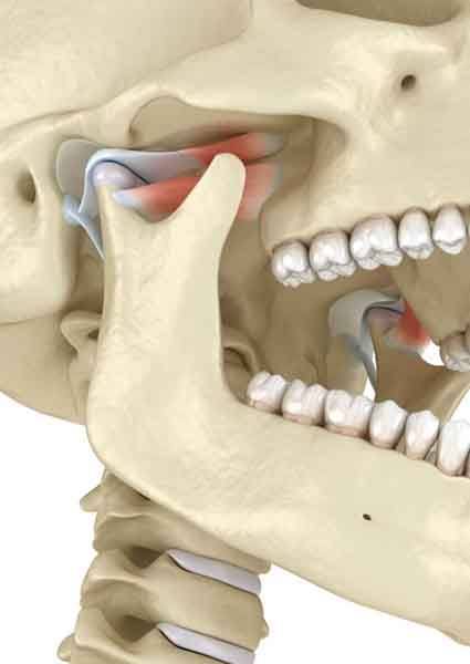 Illustration showing human skull, with TMJ highlighted